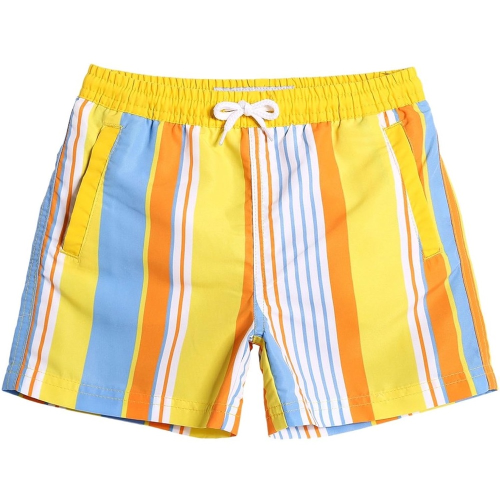 Colorful Striped Swim Shorts